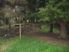 Affordable 80 Acres