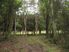 Affordable 80 Acres