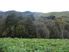Affordable 80 Acres