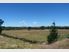 Great Building Site and 4 Bay Shed
