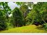 Secluded Family Sanctuary or Possible Development