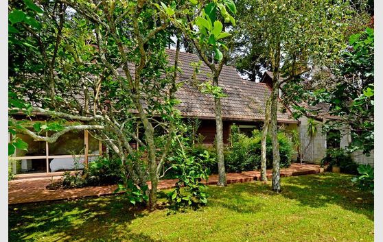Secluded Family Sanctuary or Possible Development