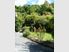 Retire - Holiday House or Investment!