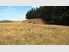 DESIRABLE LIFESTYLE LOCATION - Lot 1
