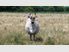DESIRABLE LIFESTYLE LOCATION - Lot 1