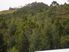 PERIA LIFESTYLE - $360,000