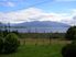 LAKE BRUNNER INVESTMENT