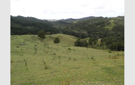 KAINGAROA -$189,000 + GST