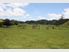 Ratawai Farm