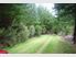 Trees and Timber $41,750 + GST