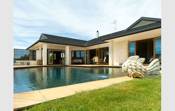 Premium Marlborough Vineyard