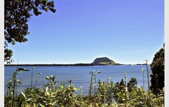 Matua - Views and Location