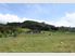 Complete Country Paradise