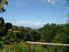 Magic Views