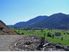 121 HECTARE FORESTRY BLOCK