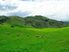 Ruakaka Station, Large Scale Breeding and Finishing - Very hard to Fin