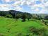 Ruakaka Station, Large Scale Breeding and Finishing - Very hard to Fin