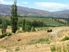 Rare Ripponvale Land Opportunity