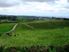 RURAL BARE LAND PRICED RIGHT
