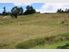 Premium Bare Land With All New Pastures
