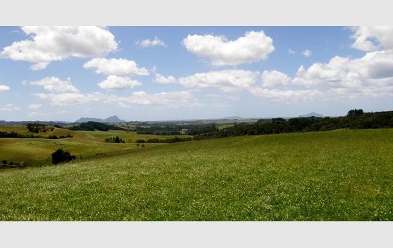 Start your country life here