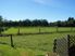TWO DWELLINGS ON FIVE ACRES