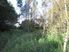 Fabulous On Fletcher - Koromatua District