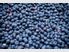 BLUEBERRY EXPORT AND RETAIL BUSINESS