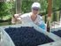 BLUEBERRY EXPORT AND RETAIL BUSINESS