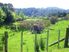 SELDOM FOUND - STUNNING 4HA LIFESTYLE BLOCK