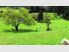 SELDOM FOUND - STUNNING 4HA LIFESTYLE BLOCK