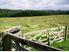 SHEEP and CATTLE 436 ha