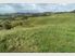 SHEEP and CATTLE 436 ha