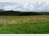 SHEEP and CATTLE 436 ha