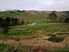 DAIRY/GRAZING/DRYSTOCK