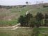 DAIRY/GRAZING/DRYSTOCK