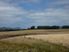 Run/Off - Conversion 245 Ha (605 acres)