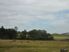 Run/Off - Conversion 245 Ha (605 acres)