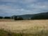 Run/Off - Conversion 245 Ha (605 acres)