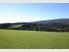 "Hollyburn" Sheep/Cattle or Deer - 411.42Ha