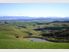 "Hollyburn" Sheep/Cattle or Deer - 411.42Ha