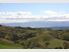 "Hollyburn" Sheep/Cattle or Deer - 411.42Ha
