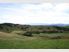 "Hollyburn" Sheep/Cattle or Deer - 411.42Ha