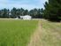 DAIRY SUPPORT OR SUBDIVISION