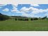 Taupiri Dairy