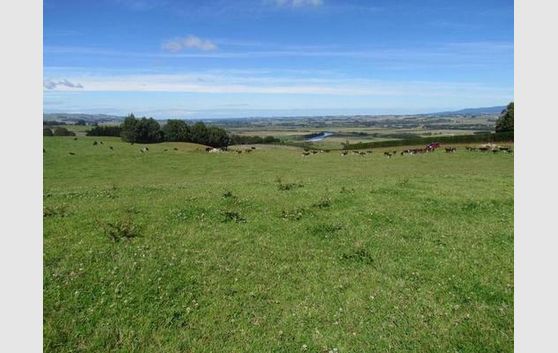 Sheep and Beef Property on Town Boundary
