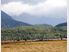 WAIUNA LAKE FRONT SECTION