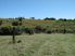 TE AHIAWA - LIFESTYLE SUBDIVISION