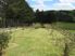 Whangaripo Valley Beauty