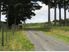 Whangaripo Valley Beauty